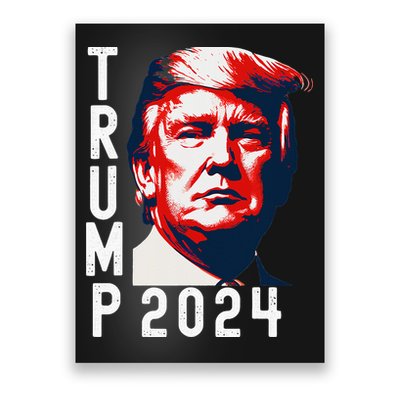 Donald Trump 2024 Take America Back Election 2024 Poster