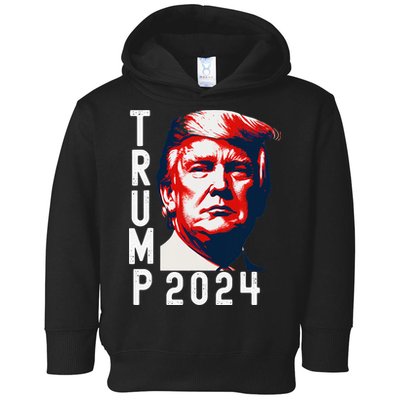 Donald Trump 2024 Take America Back Election 2024 Toddler Hoodie