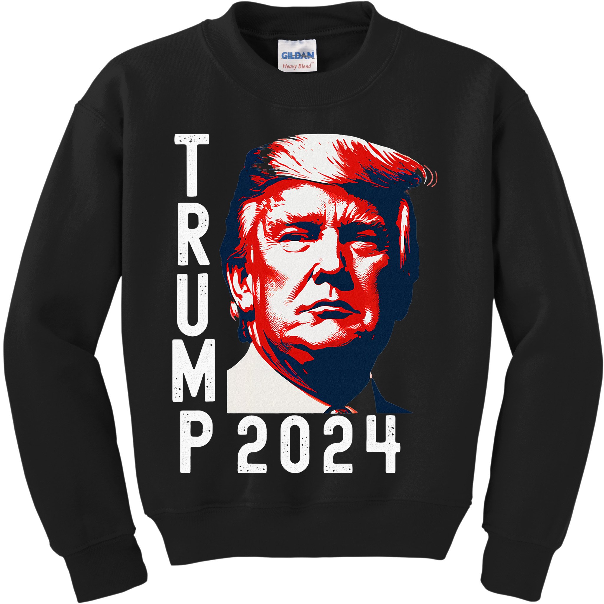 Donald Trump 2024 Take America Back Election 2024 Kids Sweatshirt