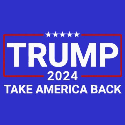 Donald Trump 2024 Take America Back Election The Return T-Shirt