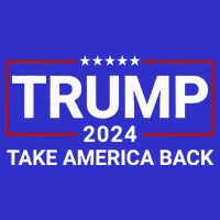 Donald Trump 2024 Take America Back Election The Return Button