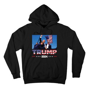 Donald Trump 2024 Survived Shot At Election Rally Hoodie