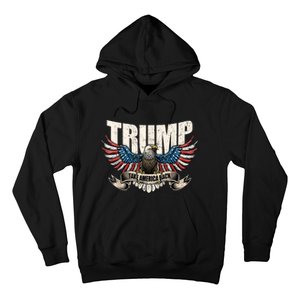 Donald Trump 2024 Take America Back Usa United States Hoodie