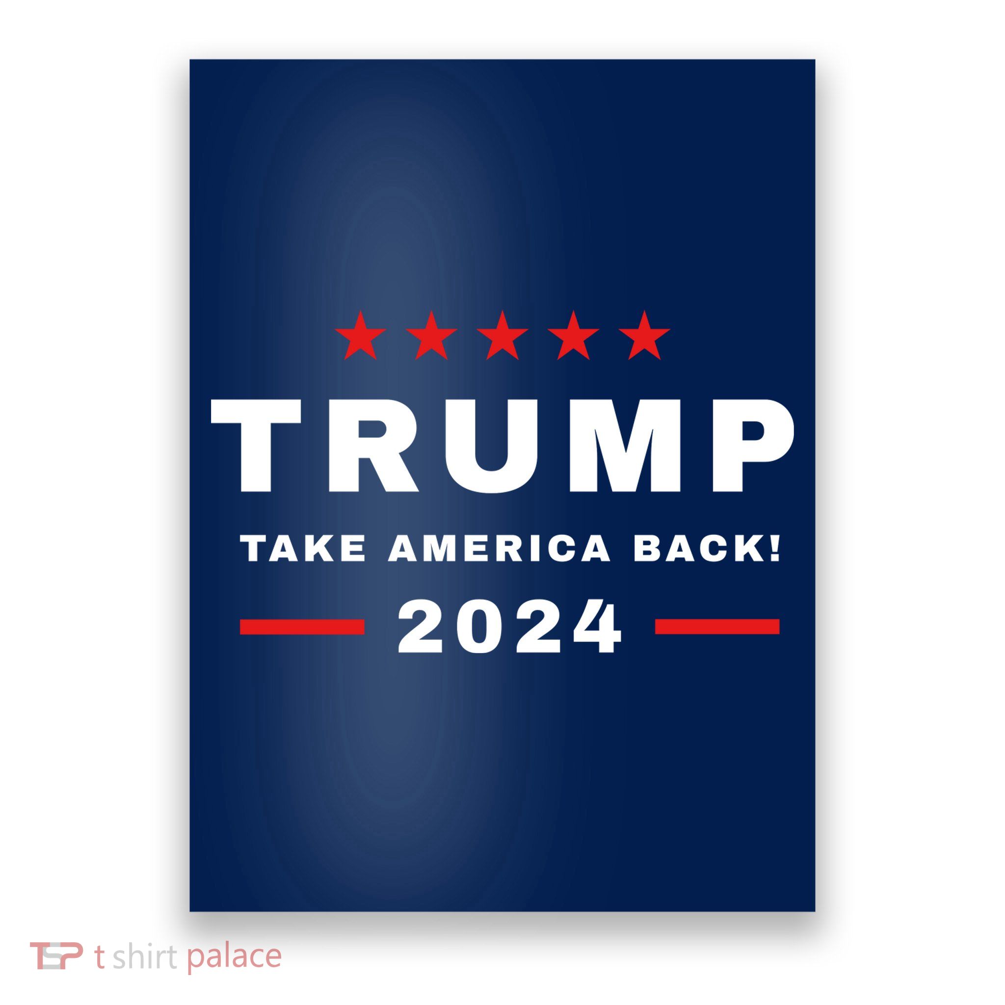 Trump 2024 Take America Back Election Poster