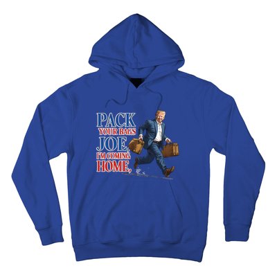 Donald Trump 2024 Sarcastic Patriotic Political Humor Great Gift Hoodie