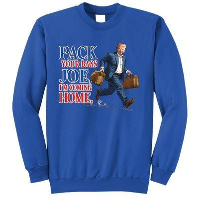 Donald Trump 2024 Sarcastic Patriotic Political Humor Great Gift Sweatshirt