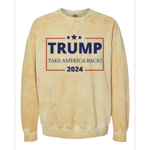 Donald Trump 2024 Take America Back USA United States Colorblast Crewneck Sweatshirt