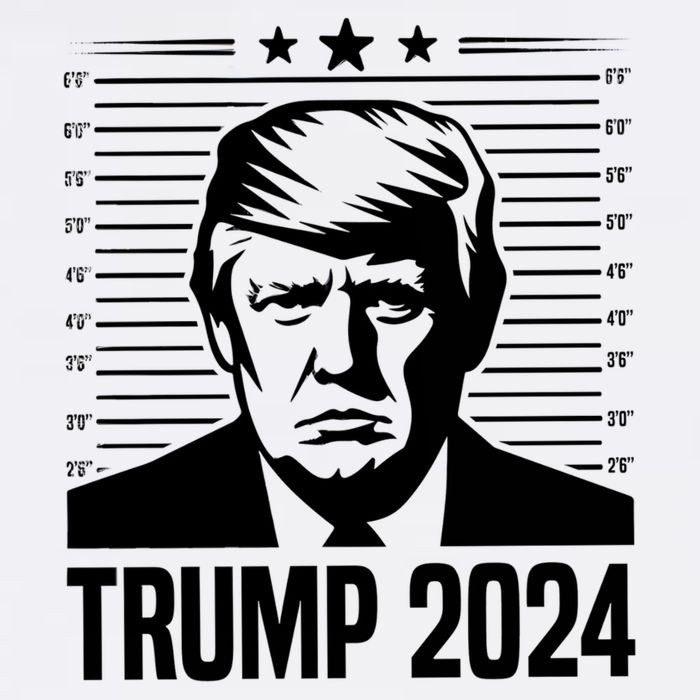 Donald Trump 2024 Mugshot Toddler T-Shirt