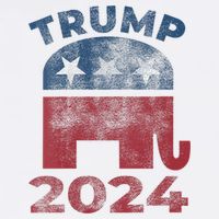 Donald Trump 2024 Vintage Trump 2024 Women's V-Neck T-Shirt