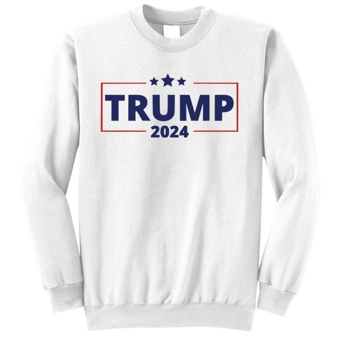 Donald Trump 2024 Take America Back USA Trump United States Sweatshirt