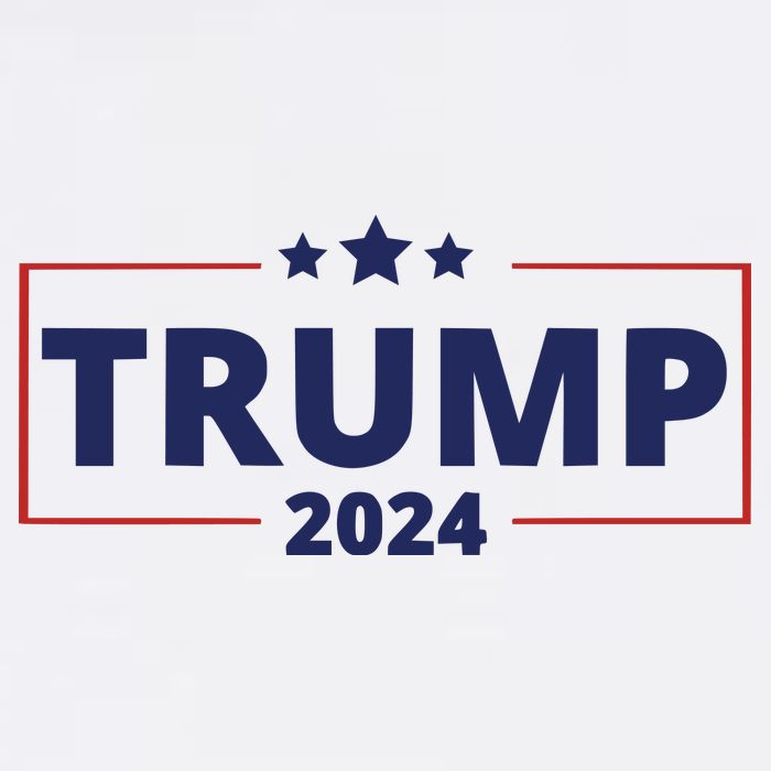 Donald Trump 2024 Take America Back USA Trump United States T-Shirt