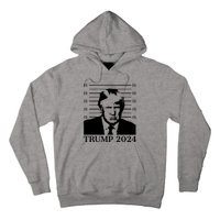 Donald Trump 2024 Mugshot Take America Back Usa Hoodie