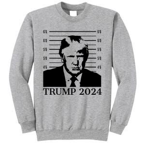 Donald Trump 2024 Mugshot Take America Back Usa Sweatshirt