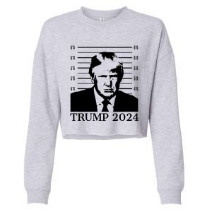 Donald Trump 2024 Mugshot Take America Back Usa Cropped Pullover Crew