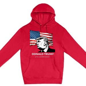 Donald Trump 2024 Take America Back 47TH US president  Premium Pullover Hoodie