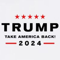 Donald Trump 2024 Take America Back Election Toddler T-Shirt