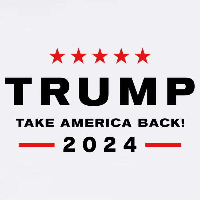 Donald Trump 2024 Take America Back Election Toddler T-Shirt