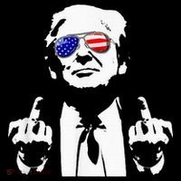 Donald Trump 2024 Middle Finger Conservative Republican Hoodie