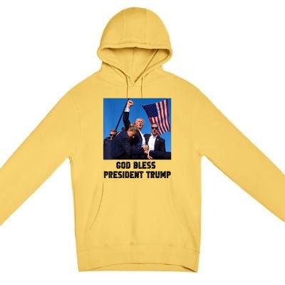 Donald Trump 2024 God Bless President Trump Gift Premium Pullover Hoodie