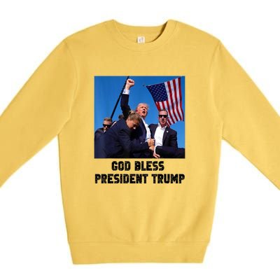 Donald Trump 2024 God Bless President Trump Gift Premium Crewneck Sweatshirt