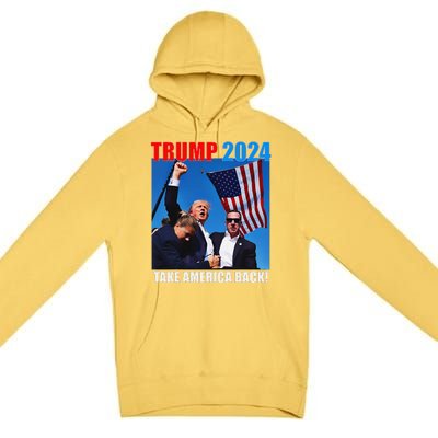 Donald Trump 2024 Take America Back American Flag Patriotic Premium Pullover Hoodie