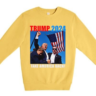 Donald Trump 2024 Take America Back American Flag Patriotic Premium Crewneck Sweatshirt