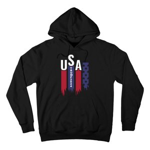 Donald Trump 2024 Take America Back American Flag Hoodie