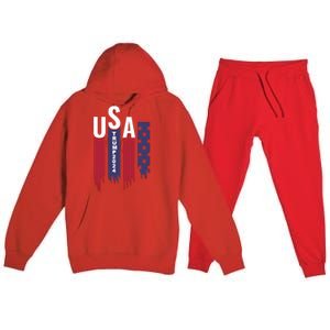 Donald Trump 2024 Take America Back American Flag Premium Hooded Sweatsuit Set