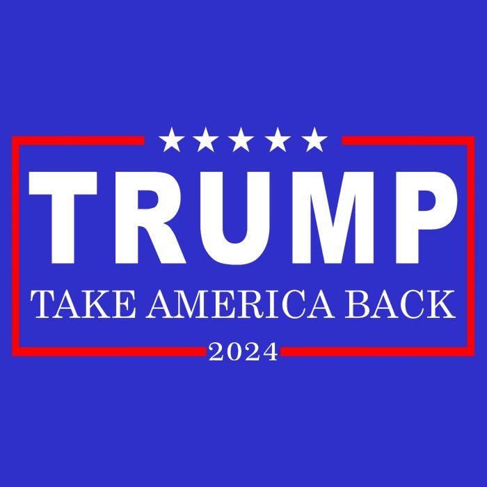Donald Trump 2024 Take America Back USA United States Kids Sweatshirt
