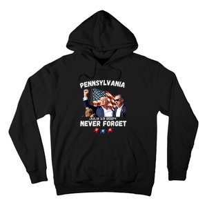 Donald Trump 2024 Election Gifts For Patriotics Butler Pennsylvania Never Forget Hoodie