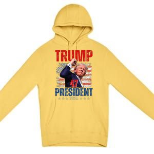 Donald Trump 47 President 2024 Trump Inauguration Day Premium Pullover Hoodie