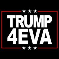 Donald Trump 4EVA 2028 Forever Sweatshirt