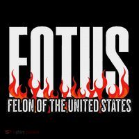 Donald Trump 47 Fotus Felon Of The United States Political Premium T-Shirt