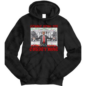 Donald Trump 47th President Of The United States Coming Home For Christmas Tie Dye Hoodie