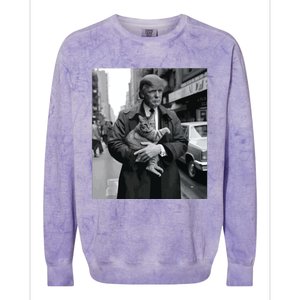 Donald Trump And Cat In Nyc Colorblast Crewneck Sweatshirt