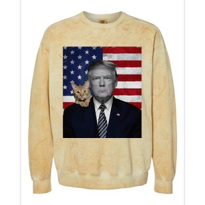 Donald Trump And Cat Political Usa Flag Election 2024 Colorblast Crewneck Sweatshirt