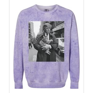 Donald Trump And Cat In Nyc Cute Gift Colorblast Crewneck Sweatshirt