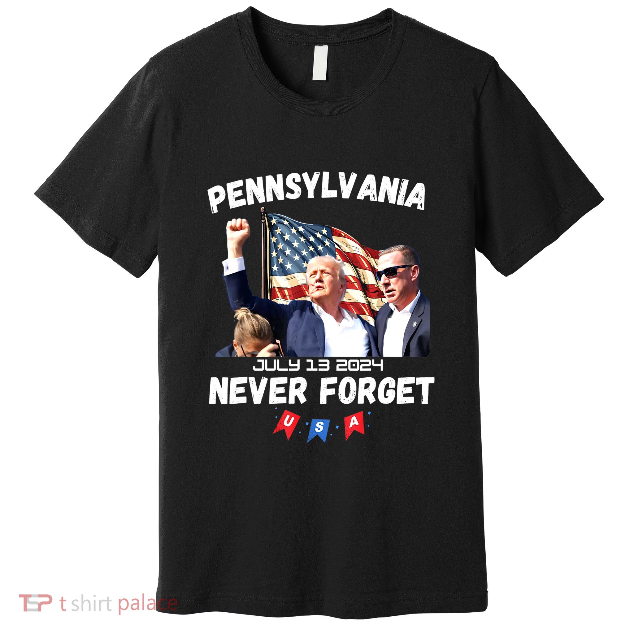Donald Trump Butler Pennsylvania Never Forget Gift Premium T-Shirt