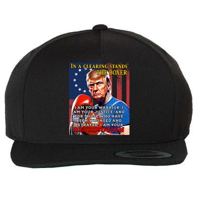 Donald Trump Boxer Indicted Jail Arrest Trump Mugshot Wool Snapback Cap