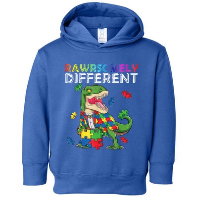 Dare To Be Yours Different Autism Awareness Dinosaur Cool Gift Toddler Hoodie