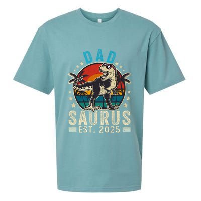 Dad To Be 2025 Dad Saurus Dinosaur Promoted To Daddy 2025 Sueded Cloud Jersey T-Shirt