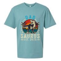 Dad To Be 2025 Dad Saurus Dinosaur Promoted To Daddy 2025 Sueded Cloud Jersey T-Shirt