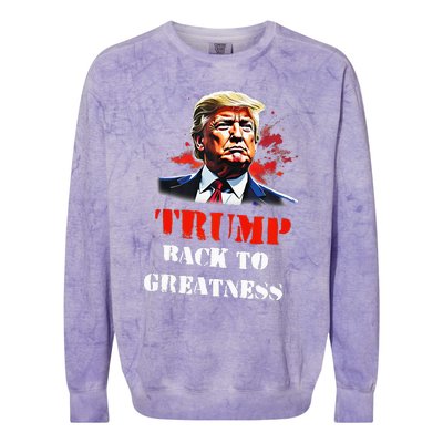 Donald Trump Back To Greatness President Trump 2024 Colorblast Crewneck Sweatshirt