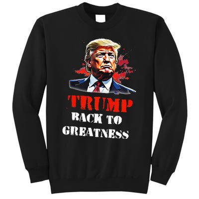 Donald Trump Back To Greatness President Trump 2024 Sweatshirt