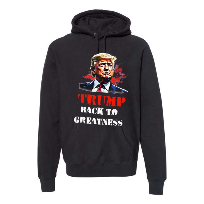 Donald Trump Back To Greatness President Trump 2024 Premium Hoodie