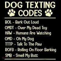 Dog Texting Codes Funny Dog Lover T-Shirt