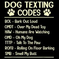 Dog Texting Codes Funny Dog Lover Flatbill Hat