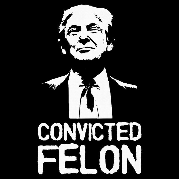 Donald Trump Convicted Felon Stencil Graffiti Impact Tech Backpack