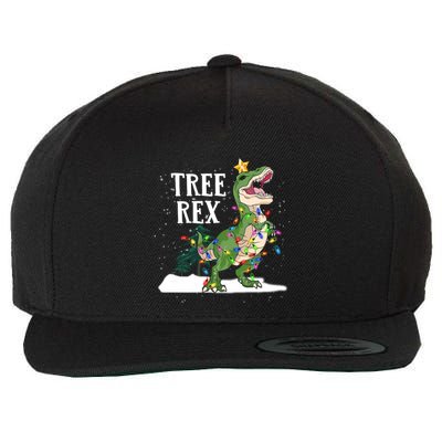 Dinosaur Trex Christmas Lights Funny Tree Rex Funny Gift Wool Snapback Cap