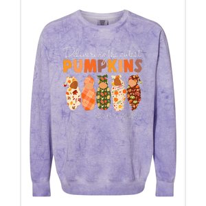 Delivering The Cutest Pumpkins Labor & Delivery Nurse Fall Colorblast Crewneck Sweatshirt